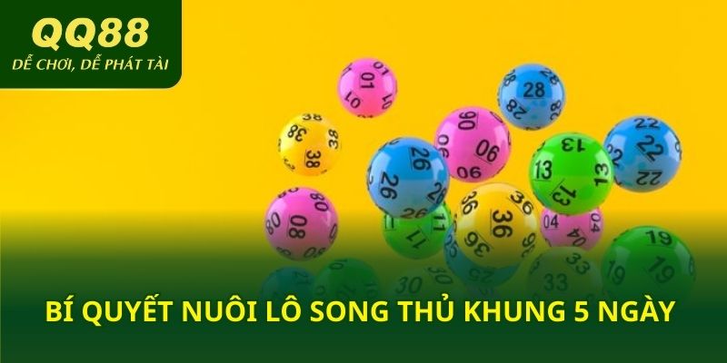 Bí quyết nuôi lô song thủ khung 5 ngày
