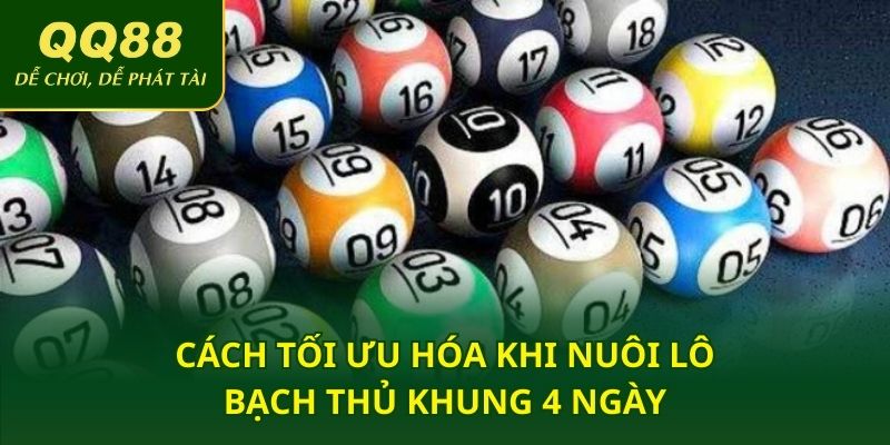 Cách tối ưu hóa khi nuôi lô bạch thủ khung 4 ngày