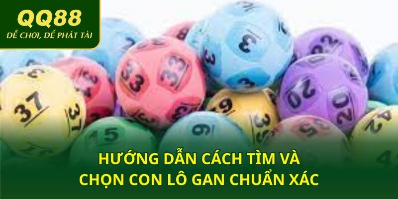 Hướng dẫn cách tìm và chọn con lô gan chuẩn xác