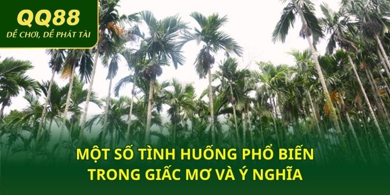 Một số tình huống phổ biến trong giấc mơ và ý nghĩa