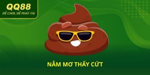 Nằm mơ thấy cứt