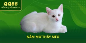 Nằm mơ thấy mèo