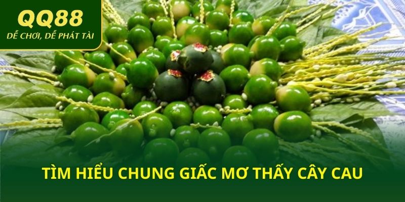 Tìm hiểu chung giấc mơ thấy cây cau