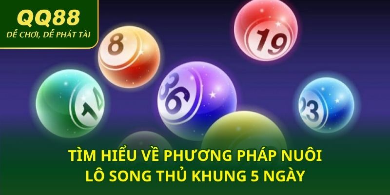 Tìm hiểu về phương pháp nuôi lô song thủ khung 5 ngày