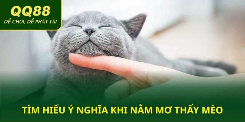 Tìm hiểu ý nghĩa khi nằm mơ thấy mèo