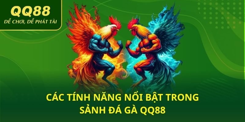 Các tính năng nổi bật trong sảnh đá gà QQ88